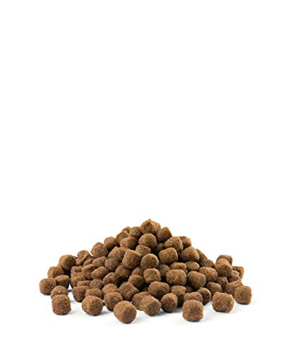 Opti Life Mini Senior 2,5Kg