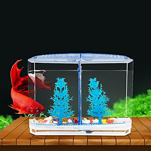 Pecera Escritorio Transparente Plástico Bilateral Fighting Tanque Creativo Creativo con Cubierta Ornamental Tanque de Peces Pequeño Dorado Tanque de Pesca Inicio Acuarios y Peceras Completas