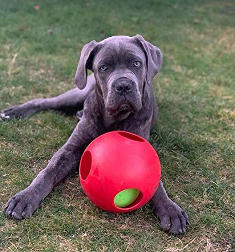 Pelota para Perros de Jolly Mascotas, bromas, 20 cm, Color Rojo