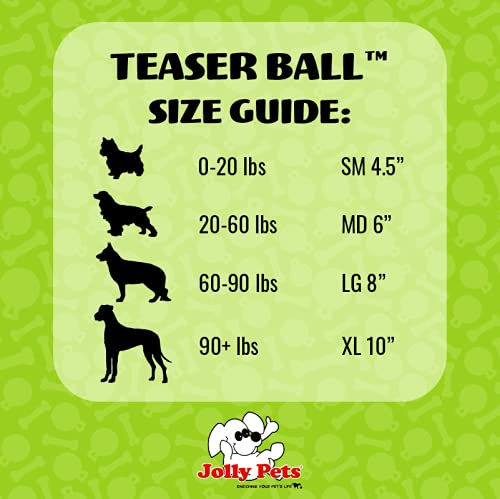Pelota para Perros de Jolly Mascotas, bromas, 20 cm, Color Rojo