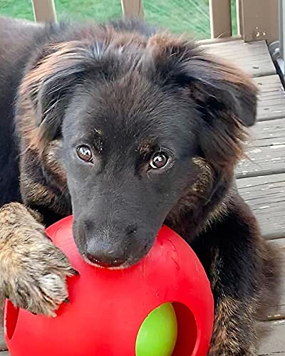 Pelota para Perros de Jolly Mascotas, bromas, 20 cm, Color Rojo