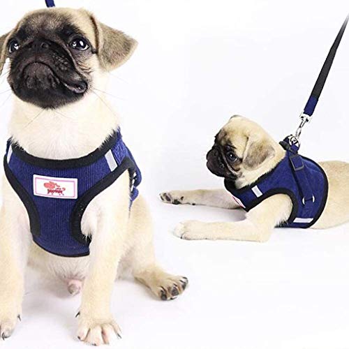 Perro de mascota correa de malla transpirable suave chaleco de tipo correa ajustable Ajuste de plomo correa del pecho del perro de la correa for pequeñas y medianas perros Caminar Correr Correa de ent