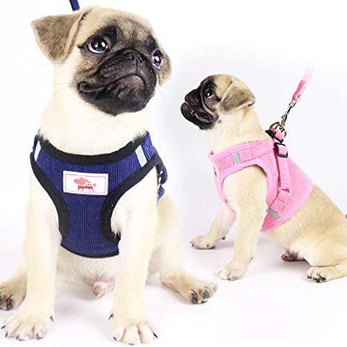 Perro de mascota correa de malla transpirable suave chaleco de tipo correa ajustable Ajuste de plomo correa del pecho del perro de la correa for pequeñas y medianas perros Caminar Correr Correa de ent