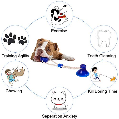 Pet Chew pelota de juguete, caucho natural no tóxico cuerda pelota masticable for perros con ventosa for limpiar los dientes caido Tirando Juego de mascar, Molar mascota Bite pelotas de juguete for pe