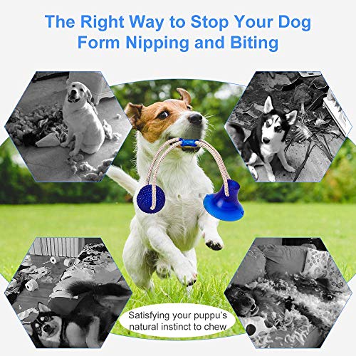 Pet Chew pelota de juguete, caucho natural no tóxico cuerda pelota masticable for perros con ventosa for limpiar los dientes caido Tirando Juego de mascar, Molar mascota Bite pelotas de juguete for pe