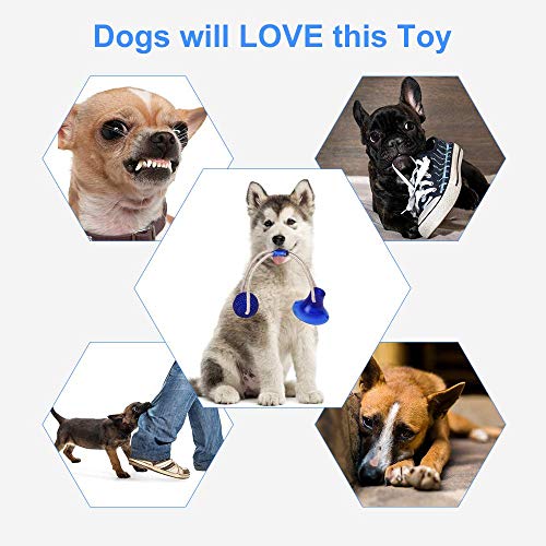 Pet Chew pelota de juguete, caucho natural no tóxico cuerda pelota masticable for perros con ventosa for limpiar los dientes caido Tirando Juego de mascar, Molar mascota Bite pelotas de juguete for pe