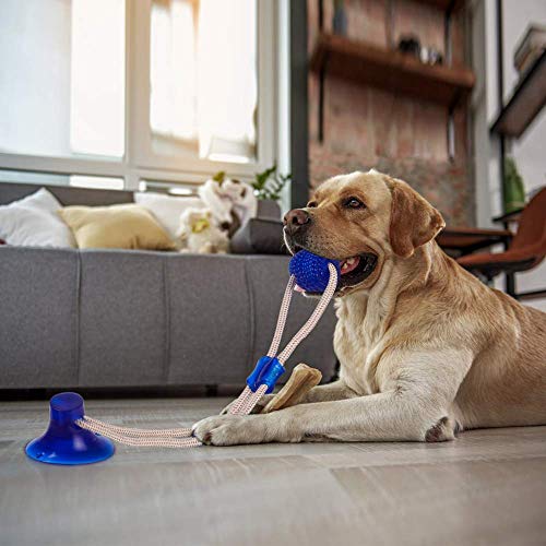 Pet Chew pelota de juguete, caucho natural no tóxico cuerda pelota masticable for perros con ventosa for limpiar los dientes caido Tirando Juego de mascar, Molar mascota Bite pelotas de juguete for pe