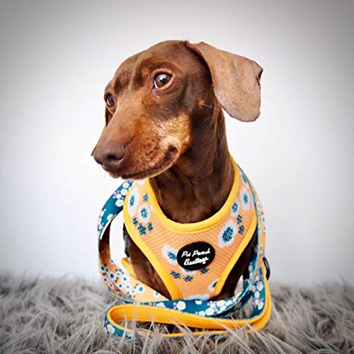Pet Pooch Boutique - Collar para Perro, diseño Floral, 200 g, Talla L, Color Caqui y Amarillo
