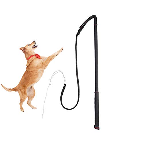 Piel de Vaca Agitación del Perro Whip Dog Teaser Wand Entrenamiento del Perro Whip Dog Teaser Wand Juego al Aire Libre para jalar, perseguir, Masticar, Hacer bromas, Entrenar