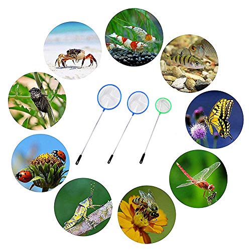 PLUS PO Sacaderas De Pesca Accesorios Acuarios y Peceras Pesca Red de Aterrizaje Kit de Limpieza de pecera Accesorios de pecera Tropical s,10pcs
