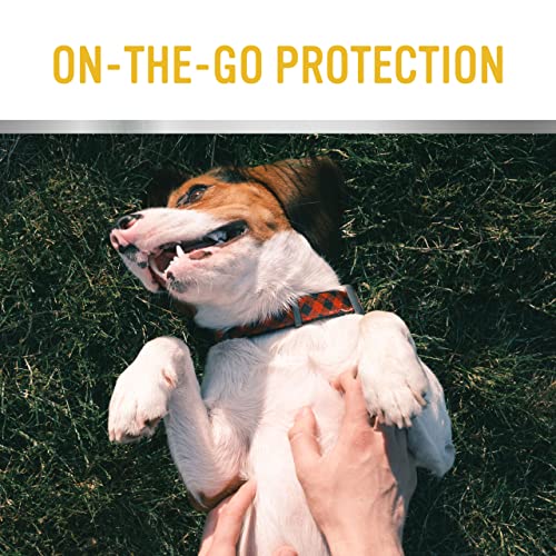 Pro Pooch Crema Almohadillas Perros - Balsamo para Patas con Picor, 100 ml - Pomada Hidratante