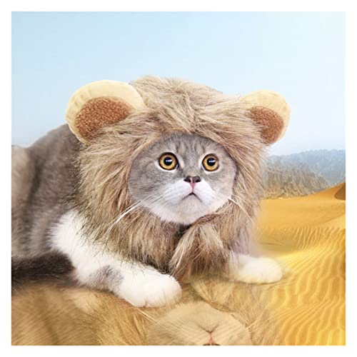 Productos para mascotas Lindo león maneja gato peluca mascota pequeño perro gatos traje león lion made peluca gorra sombrero para perros gato traje de lujo cosplay juguete suministros para mascotas