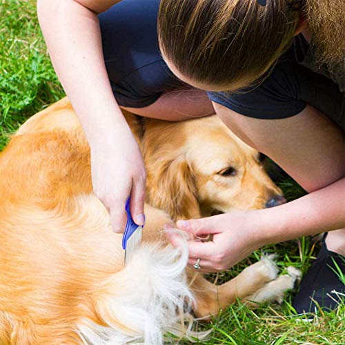 Pulgas Caniche Galgo Peine Del Animal Doméstico Furminator Peine Del Animal Doméstico Peine De Los Piojos Para Perros Gatos De Acero Inoxidable Para Mascotas Piojos Removedor Y Estética Peine Conjunto