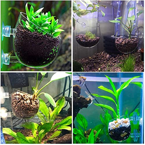Riveryy Soporte para Plantas de Acuario,4 pcs Macetas de Hierbas de Agua,Maceta para Plantas de Acuario,Acuario Acuático,Macetas Acuáticas,para Suministros Acuario del Paisaje Mascotas