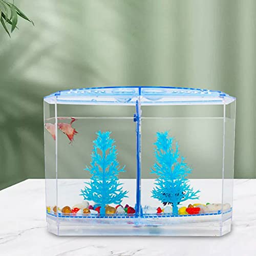 sararui Pecera Escritorio Transparente Plástico Bilateral Fighting Tanque Creativo Creativo con Cubierta Ornamental Tanque de Peces Pequeño Dorado Tanque de Pesca Inicio Pecera Pequeña