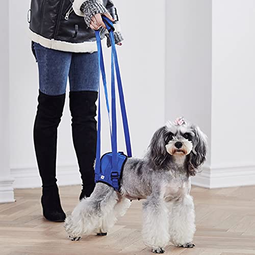 Shipenophy Ayuda para Caminar para Mascotas, Arnés de Elevación Ajustable para Perros, Chaleco de Rehabilitación para Levantar Las Piernas, Arnés para Perros de Asistencia Duradera, Material de(L)