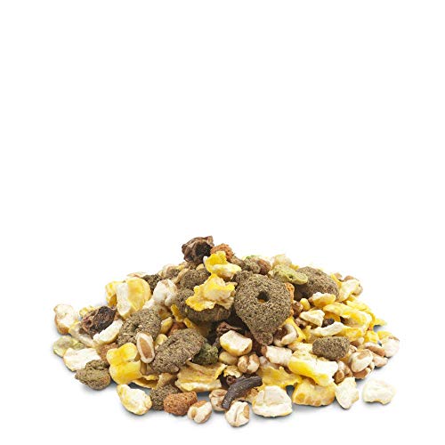 Snacks para Perros Versele-laga Versele-laga 1,75kg Snack Crispy Popco / 5