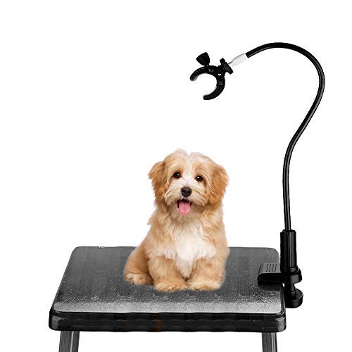 Soporte para secador de pelo para mascotas, rotación de 360 grados manos libres soporte para secador de pelo de aleación de aluminio cuello de cisne para perro gato mesa de aseo