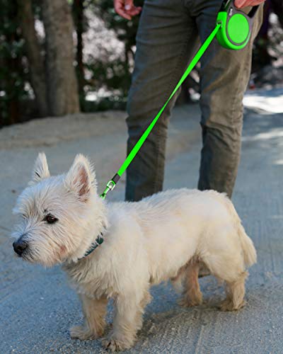 Taglory Correa Extensible Perro medianos y pequeño, Cuerda para Perros retractil, Nylon Fuerte Adecuado para Perros de hasta 20 kg, sin enredo y manija Antideslizante (5m (16ft), Verde)