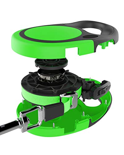 Taglory Correa Extensible Perro medianos y pequeño, Cuerda para Perros retractil, Nylon Fuerte Adecuado para Perros de hasta 20 kg, sin enredo y manija Antideslizante (5m (16ft), Verde)