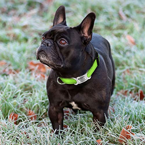 TagME Collar Perro Ajustable,Collar Nylon Reflectante,para Caminar Correr Entrenamiento,para Cachorro,Verde,1.0cm De Ancho