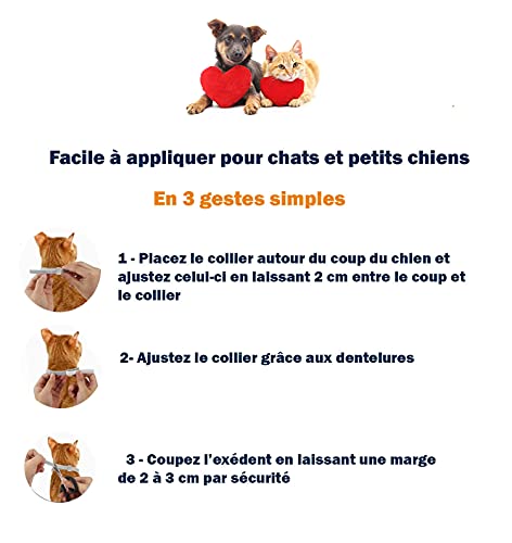 Thilife: Collar antipulgas y garrapatas Ajustable para Perros pequeños y Gatos | Antiparásitos |8 Meses de protección |2 Clips para Quitar garrapatas Gratis | Base de Aceite de citronela |Impermeable