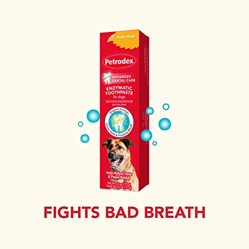 Toothpaste For Dogs by Petrodex