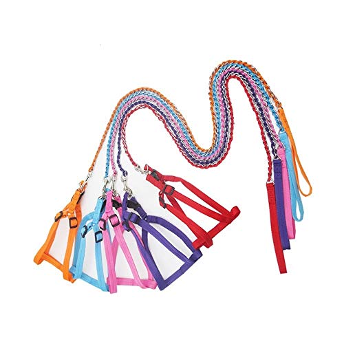 TOYYPAY Color al Azar de Ajuste Anti-mordedura Correa del Perro Anti-perdió y Formación Duradero for Mascotas Cuerda Hecha por Cadena del Hierro y Nylon for pequeñas y Medianas Perros