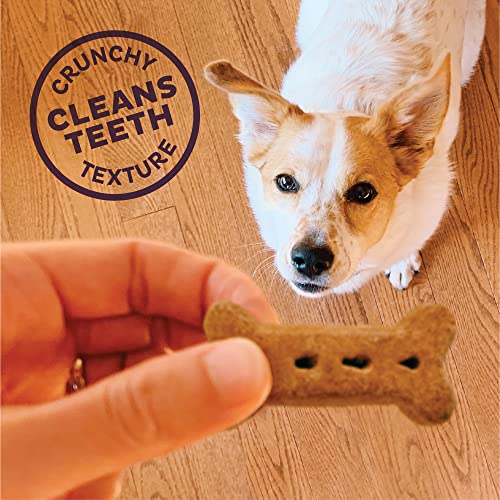 Vieja Madre Hubbard crujientes Classic Natural Dog Treats