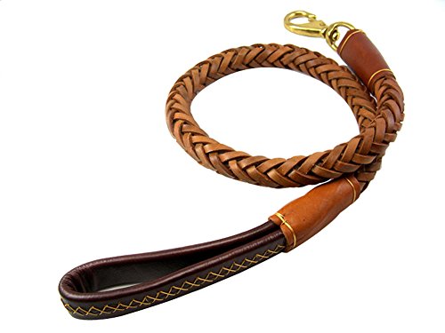 Vivi Bear Correa de Perro, marrón, Durable, Suave, Cuero Real, Trenzado, para Perros Grandes-1,1 m de Largo x 2,5 cm de Ancho