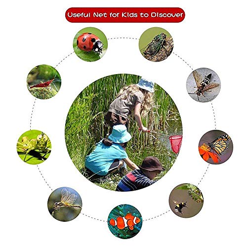 WESDOO Accesorios Acuarios y Peceras Sacaderas De Pesca Accesorios de pecera Tropical Pesca Red de Aterrizaje Kit de Limpieza de pecera Limpiador de Acuario