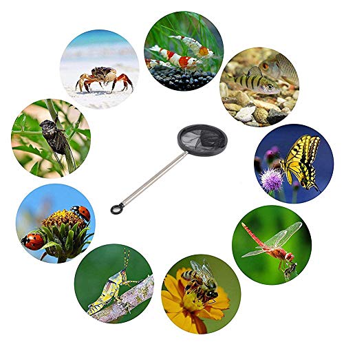 WESDOO Accesorios Acuarios y Peceras Sacaderas De Pesca Accesorios de pecera Tropical Pesca Red de Aterrizaje Kit de Limpieza de pecera Limpiador de Acuario