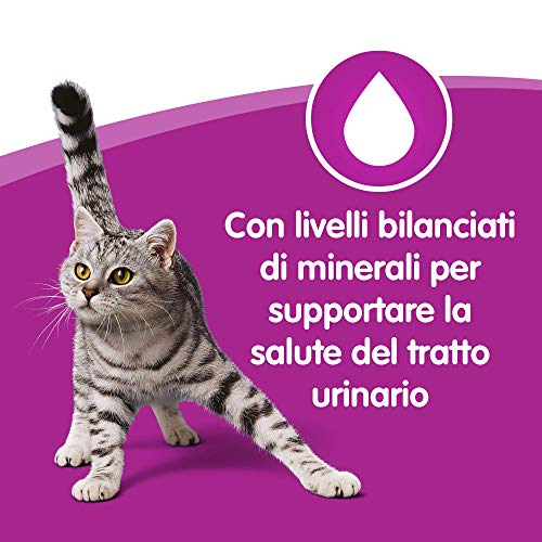 Whiskas Comida para Gatos con atún, Pescado Blanco y salmón, 12 Paquetes (72 Unidades en Total)