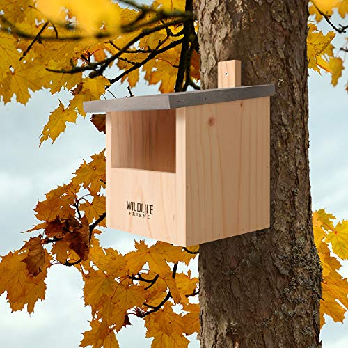 WILDLIFE FRIEND | Caja Nido para Colirrojo & Co de Madera Maciza - con Techo de Metal - Atornillada y Resistente a la Intemperie, Casa de Pájaros e incubadora para Criadores Especializados