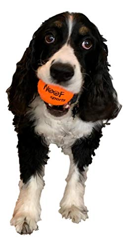 Woof Sports - Pelotas de Tenis para Perros, 12 Pelotas de Tenis de Color Naranja ecológicas y Bolsa de Transporte de Malla, tamaño Mediano, para lanzadores de Pelotas estándar