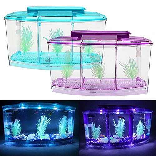 Xu Yuan Jia-Shop Tortuguera Hábitat de Reptiles, Tortuga Hábitat Terrapin Lake Reptile Aquarium Tank (excluyendo los Accesorios Tortuguero (Color : Blue)