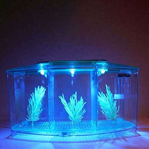 Xu Yuan Jia-Shop Tortuguera Hábitat de Reptiles, Tortuga Hábitat Terrapin Lake Reptile Aquarium Tank (excluyendo los Accesorios Tortuguero (Color : Blue)