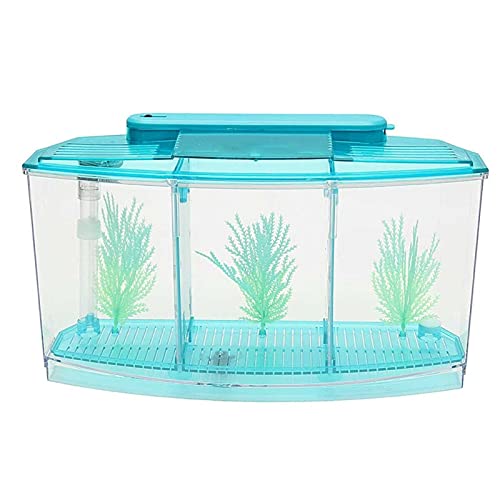 Xu Yuan Jia-Shop Tortuguera Hábitat de Reptiles, Tortuga Hábitat Terrapin Lake Reptile Aquarium Tank (excluyendo los Accesorios Tortuguero (Color : Blue)