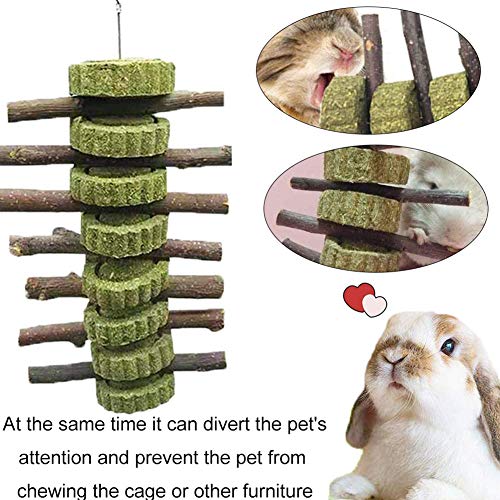 XYDZ 2PCS Juguete para Masticar Conejo, Palo de Natural Manzana Palos de Madera Hierba Natural Bola para Juguete para Moler Dientes para Conejo Hámster Loro Chinchillas Cobayas Gerbos Ratas Masticar