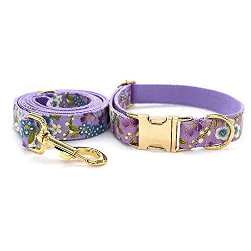 Yisatann Correa para Perros Collar para Puede Grabar Nombre Correa de Collar de Perro de Nylon Correas de Productos para Mascotas Cuerda de tracción de Metal-S