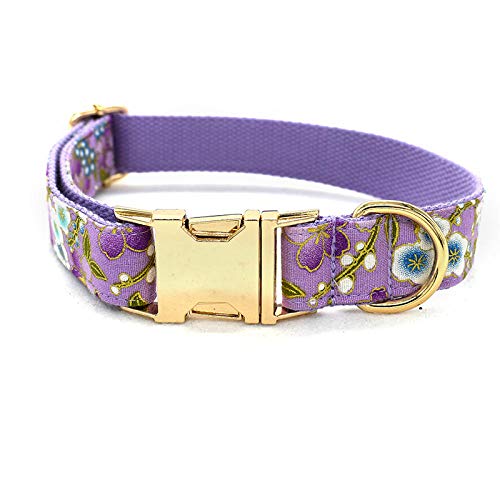 Yisatann Correa para Perros Collar para Puede Grabar Nombre Correa de Collar de Perro de Nylon Correas de Productos para Mascotas Cuerda de tracción de Metal-S