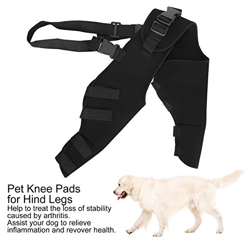 YOUTHINK Protector de Patas traseras para Perros, Rodilleras Ajustables, Soporte para Patas para Perros, Patas traseras, recupera, Protege Las heridas,