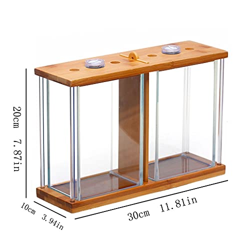 ZHANGJINYISHOP2016 Tanque de pescado creativo bilateral vidrio transparente Betta pecera rectangular pequeño ornamental tanque de peces planta de agua tanque oficina hogar acuario kits de inicio