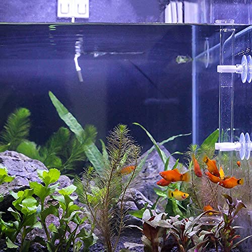 ZUZGO Cuenco de alimentación para camarones, comedero para acuario, con ventosas y tubo de alimentación, para camarones, peces, cangrejos y otros peces de suelo (20 cm)