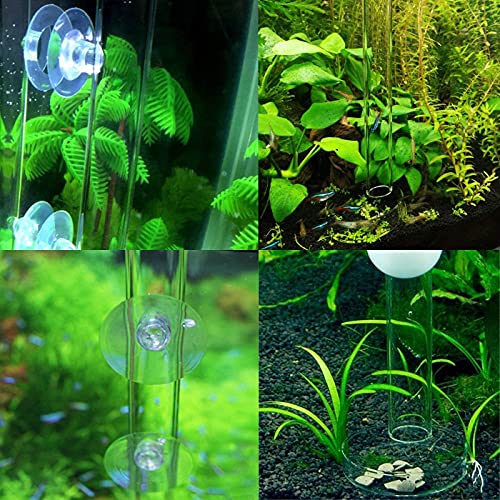ZUZGO Cuenco de alimentación para camarones, comedero para acuario, con ventosas y tubo de alimentación, para camarones, peces, cangrejos y otros peces de suelo (20 cm)